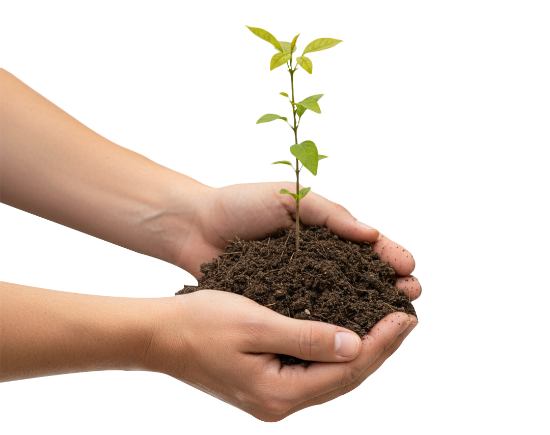 Soil Organic Carbon Focus
